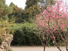 -北京市劳动人民文化宫(太庙)