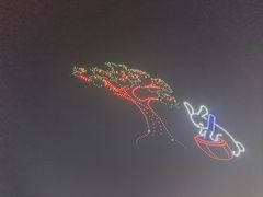 -五缘湾湿地公园