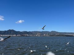 -海埂大坝