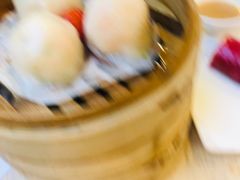 -点都德(华强南店)