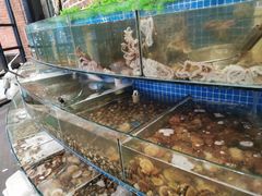 水产区-蟹谢蒸鲜自助餐厅