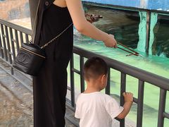 -蓬莱欧乐堡海洋极地世界