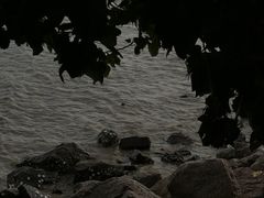 -深圳湾公园(南山区)