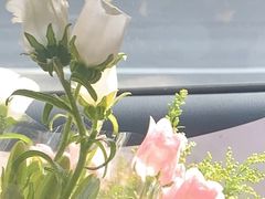 -双季花艺园艺市场(浦东店)