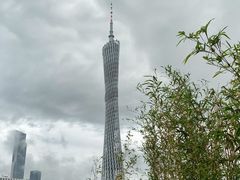 -小茶闲舍·观景商务茶馆(广州塔店)