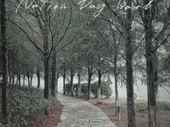 -阳澄湖半岛旅游度假区