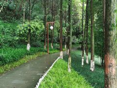 -重庆彩云湖湿地公园