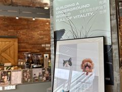 -KUDDO COFFEE(深圳湾总部)