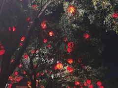 -大雁塔北广场音乐喷泉
