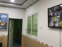-缤纷鸟美术书法(交大校区)