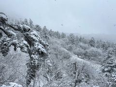 -峨眉山风景名胜区