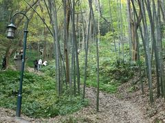 -九曜山