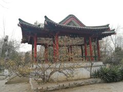 -山东师范大学(千佛山校区)