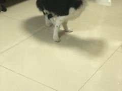 -宠颐生中康贝怡动物医院