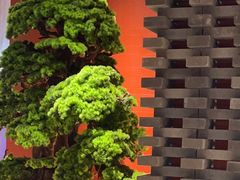 -阿伟海鲜楼·福建菜(延寿店)