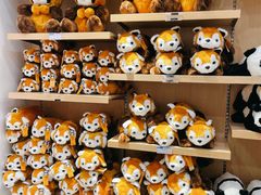 -都江堰中华大熊猫苑