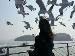 -海驴岛(荣成市)