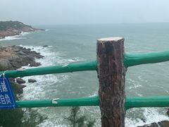 -广东惠东海龟国家级自然保护区