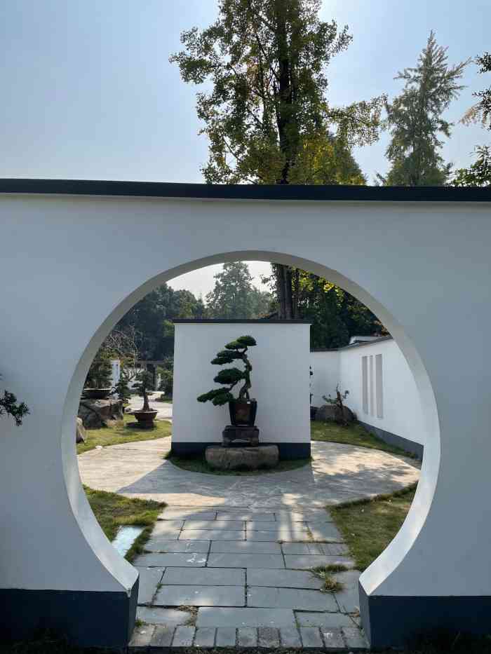 易园园林艺术博物馆-"成都已经好多好多天没看到过太阳了看不到.