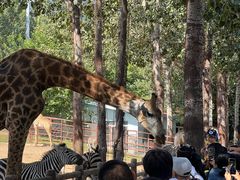 -大连森林动物园