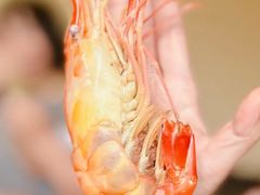 -水岸居湖景农家乐·阳澄湖大闸蟹