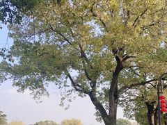 -雨花胜境