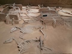 -洛阳周王城天子驾六博物馆