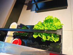 -辣伍鲜毛肚老火锅(元一店)