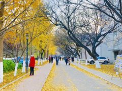 -山东师范大学(千佛山校区)