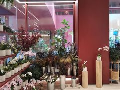 -二酉书店TOYOU BOOKS