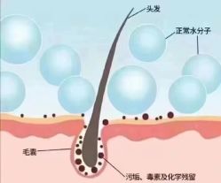 -希梵尔头皮抗衰·科技养发