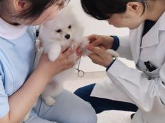 -谐和贝康宠物医院24小时·宠保定点(急重症转诊中心)