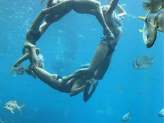 -瑞德姆美人鱼海底演艺主题餐厅(亚龙湾店)