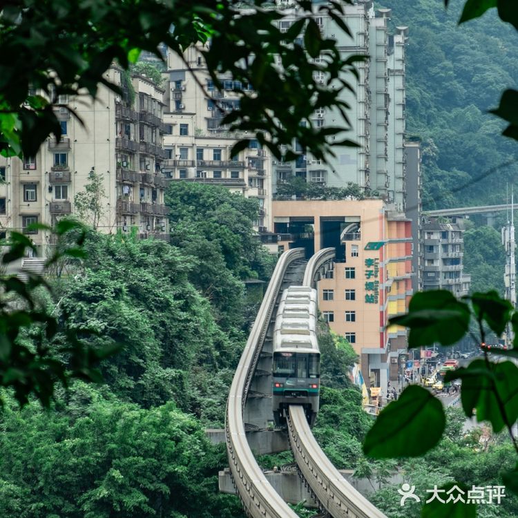 重庆李子坝附近藏着一条小众观景步道：新都巷步道