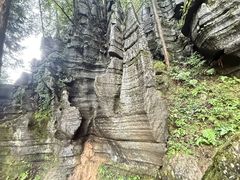 -梭布垭石林景区