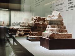 -四川大学博物馆