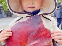 -哈尔滨文化公园