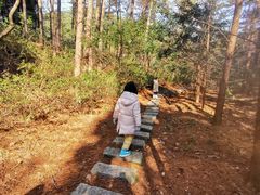 -四明山国家森林公园