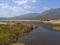 -腾冲北海湿地