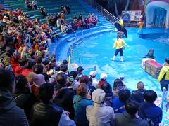 -烟台海昌鲸鲨海洋公园