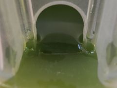-THE MATCHA TOKYO抹茶东京