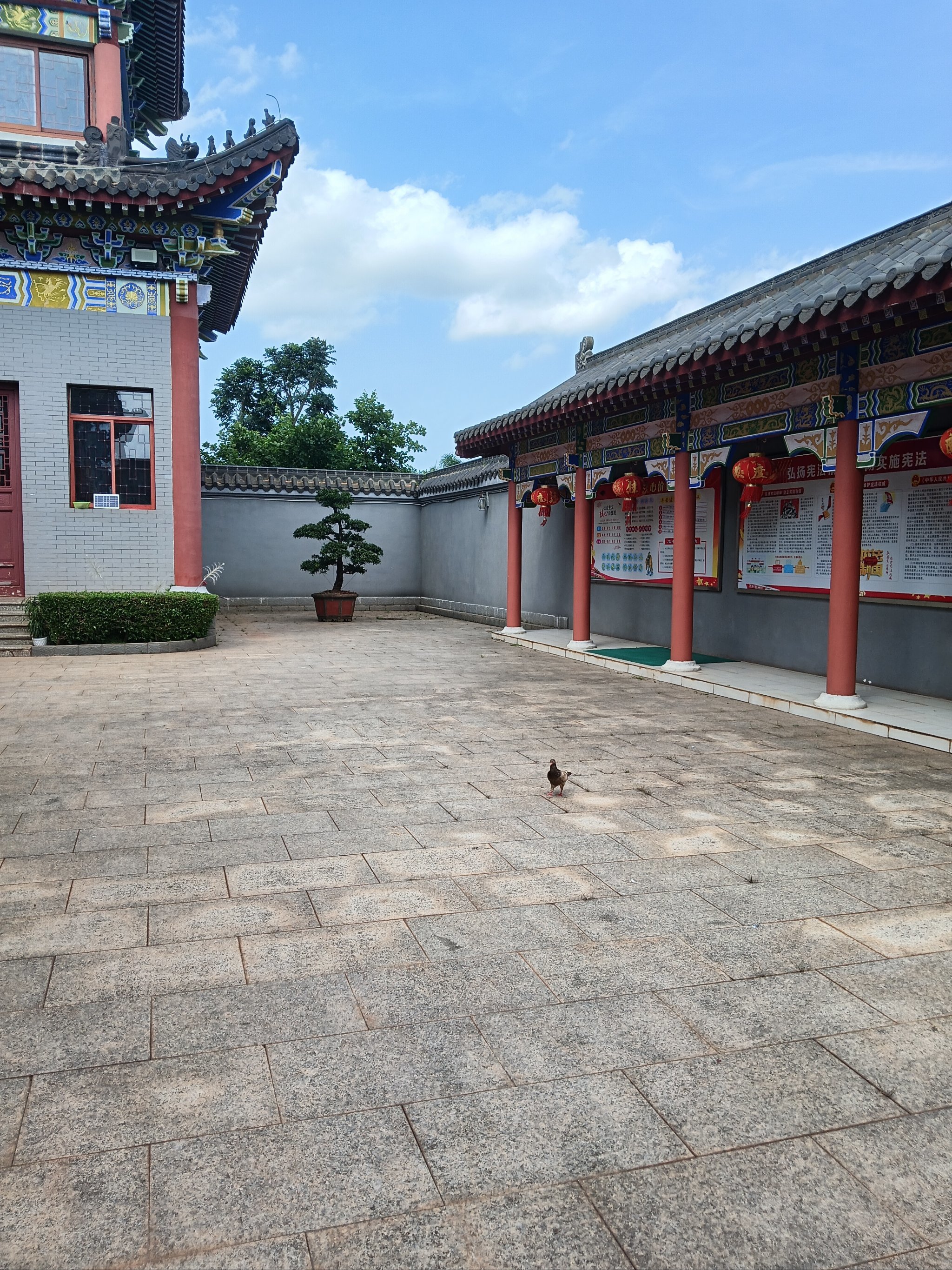 城市向导官海口泰华庵是海南最大的女众道