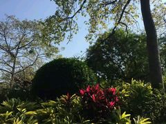 -晓港公园