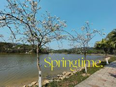 -番禺大夫山森林公园
