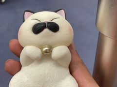 -帝京日语(春熙路旗舰校区)