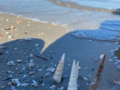 -东寨港红树林旅游区