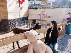 -HERRE·FARM 赫尔露营农场·团建聚会包场