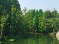 -桤木河湿地公园