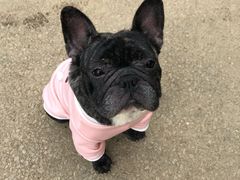 -武汉世外桃源农庄