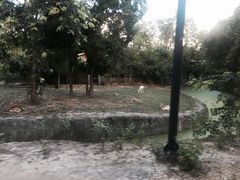 -清迈夜间动物园